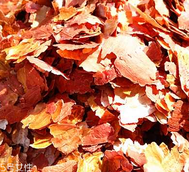 花生衣是什么？花生衣可以吃嗎？