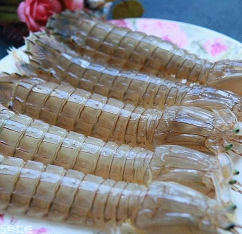 皮皮蝦能長(zhǎng)多大？皮皮蝦最大有多大？