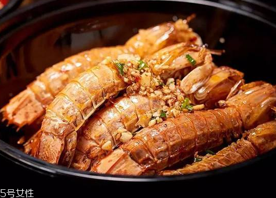 皮皮蝦能長(zhǎng)多大？皮皮蝦最大有多大？