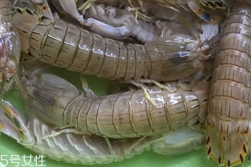 皮皮蝦皮能不能吃？皮皮蝦可以連皮吃嗎？