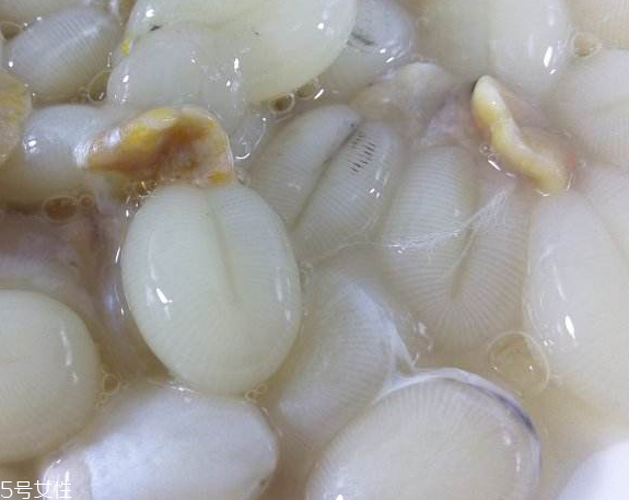 墨魚蛋的做法 墨魚蛋怎么做？