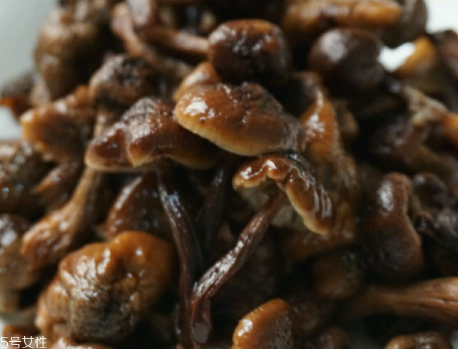 榛蘑能和雞一起吃嗎？榛蘑和雞一起吃的好處