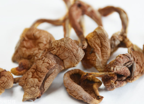 榛蘑和蘿卜相克嗎？榛蘑能不能和蘿卜一起吃？