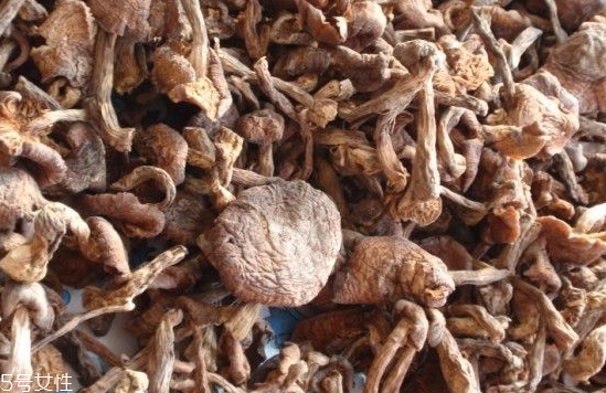 榛蘑和木耳的區(qū)別 榛蘑和木耳能一起吃嗎？
