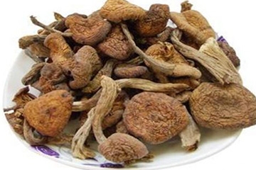 榛蘑是野生的好嗎？野生榛蘑的好處