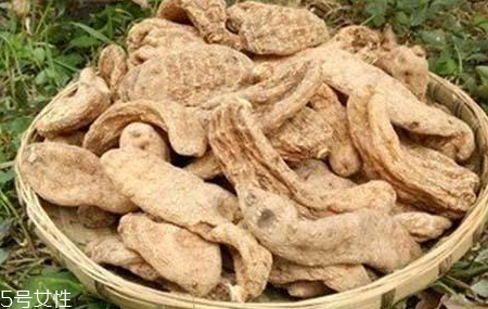 榛蘑和天麻的關(guān)系 榛蘑和天麻有什么聯(lián)系？