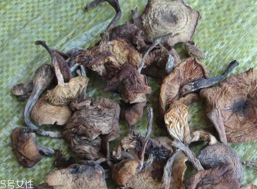 榛蘑能保存多久？干榛蘑怎么保存最好？