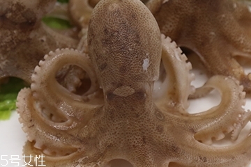 章魚(yú)是軟體動(dòng)物嗎？章魚(yú)屬于軟體動(dòng)物嗎？