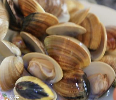 文蛤是海鮮還是河鮮？文蛤是海鮮嗎？