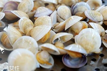文蛤是淡水還是海水？文蛤是淡水水產(chǎn)嗎？