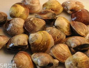 文蛤是冷水煮還是熱水？文蛤是用熱水嗎？