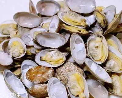 文蛤能做湯嗎？文蛤怎么做湯？