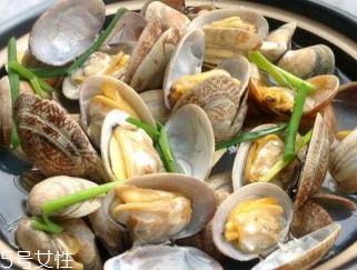 文蛤的養(yǎng)殖 文蛤怎么養(yǎng)？