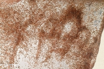 海藻面膜會(huì)發(fā)芽嗎？真的海藻面膜會(huì)發(fā)芽嗎？