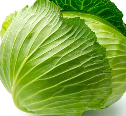 牛心菜能多吃嗎？牛心菜吃多了會怎樣？