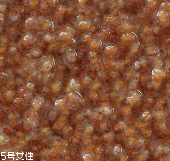 海藻面膜能加蜂蜜嗎？蜂蜜和海藻做面膜好嗎？