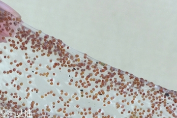 海藻面膜可以加維生素e嗎？海藻加維生素e可以用嗎？