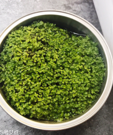 海藻面膜為什么會出膠？海藻面膜的膠是什么？