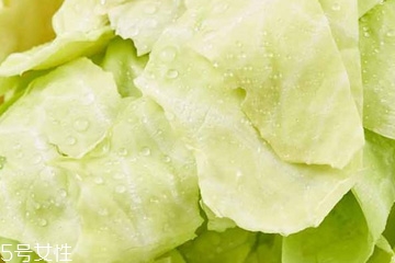 牛心菜是寒性還是熱性？牛心菜是寒性的嗎？