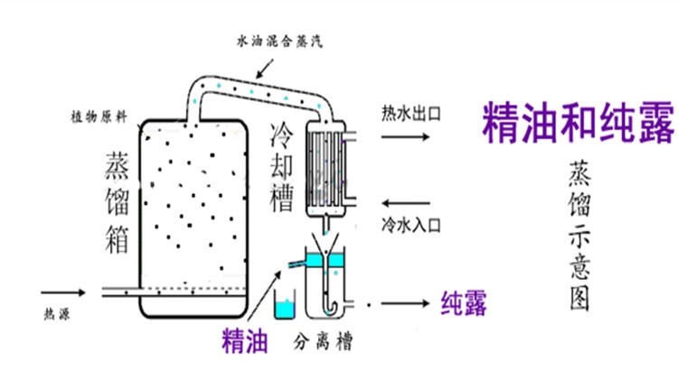 純露怎么濕敷效果好？純露濕敷的正確步驟