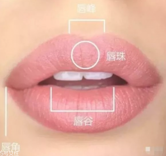 嘟嘟唇怎么畫(huà) 嘟嘟唇怎么畫(huà)圖解