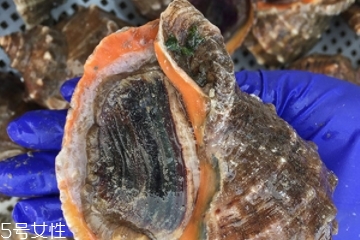 海螺開水還是冷水下鍋？海螺冷水還是熱水煮？