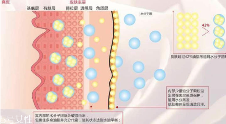 頑固痘痘怎么消除？油皮為什么反復(fù)爆痘？