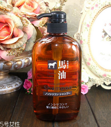馬油洗發(fā)水是無硅油嗎？馬油洗發(fā)水是無硅油洗發(fā)水嗎？