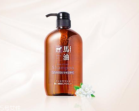 馬油洗發(fā)水是哪里產(chǎn)的？馬油洗發(fā)水是哪國的？