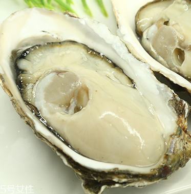 生蠔是蒸還是煮？生蠔蒸好吃還是煮好吃？