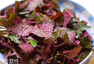紫蘇葉能治皮膚過(guò)敏嗎？