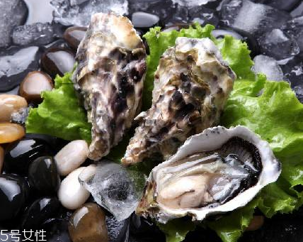 生蠔每天吃幾個(gè)最好？生蠔每日最佳食用量