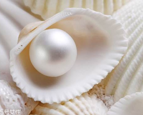 珍珠粉在哪里可以買(mǎi)到 哪里買(mǎi)正宗的