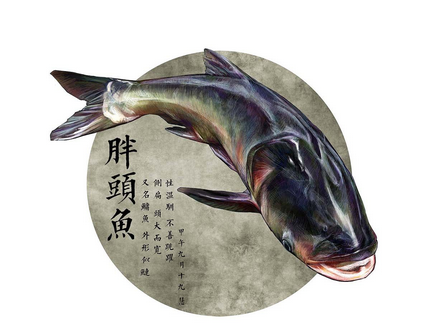 胖頭魚(yú)身子怎么做好吃 這幾招就夠了