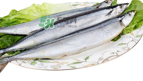 秋刀魚(yú)怎么處理？秋刀魚(yú)怎么挑選