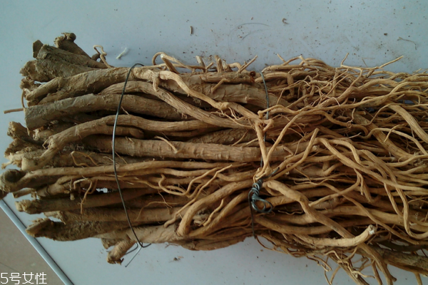 黃芪為什么會(huì)生蟲 這個(gè)是正?，F(xiàn)象