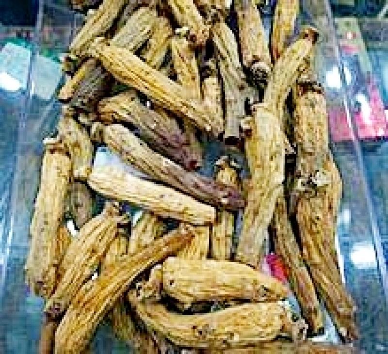 人參的種類(lèi)有哪些 常見(jiàn)的三種人參