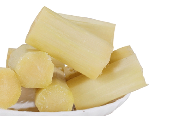 甘蔗是發(fā)物嗎 不屬于這個(gè)類(lèi)別