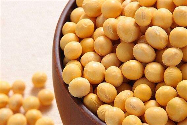 大豆可以榨油嗎 大豆油的由來(lái)