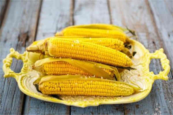 玉米有蛋白質嗎 玉米有什么營養(yǎng)價值