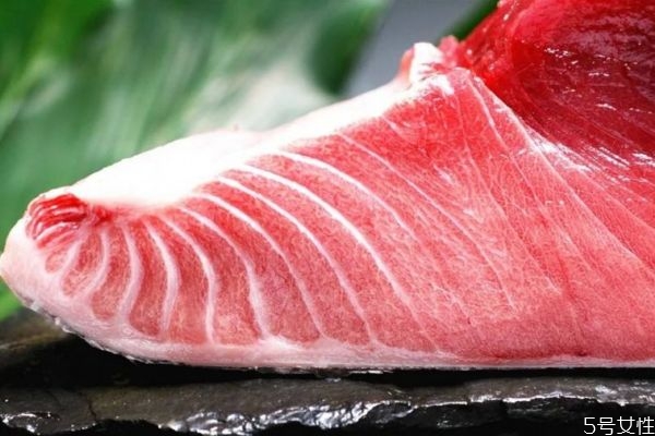 吃金槍魚(yú)有什么注意的嗎 孕婦可以吃金槍魚(yú)嗎