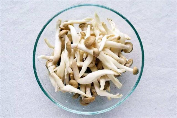 蟹味菇