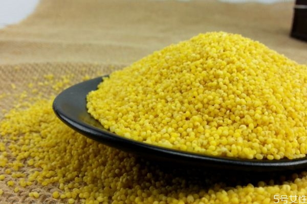 什么是粟米呢 粟米有什么營養(yǎng)價(jià)值呢