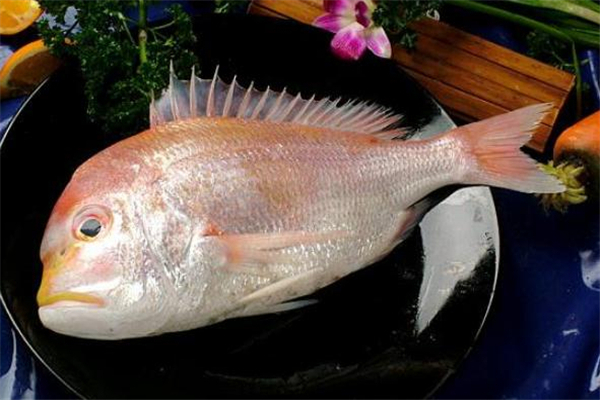 加吉魚(yú)的做法