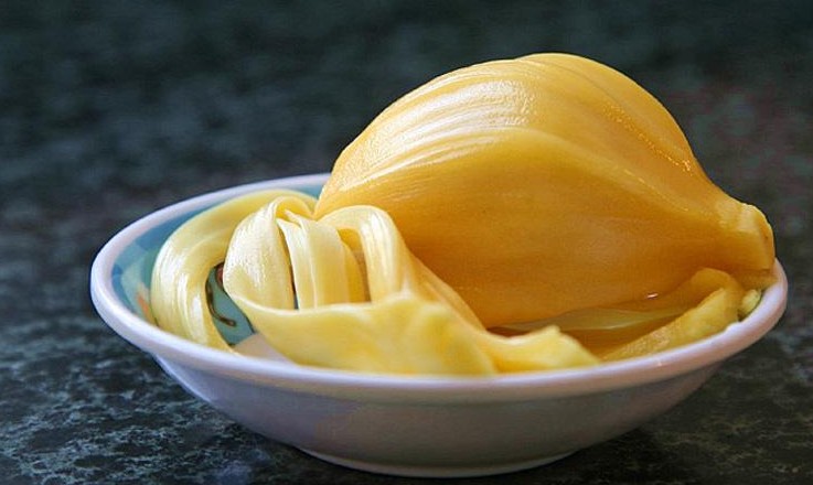 菠蘿蜜核的功效與作用、禁忌和食用方法