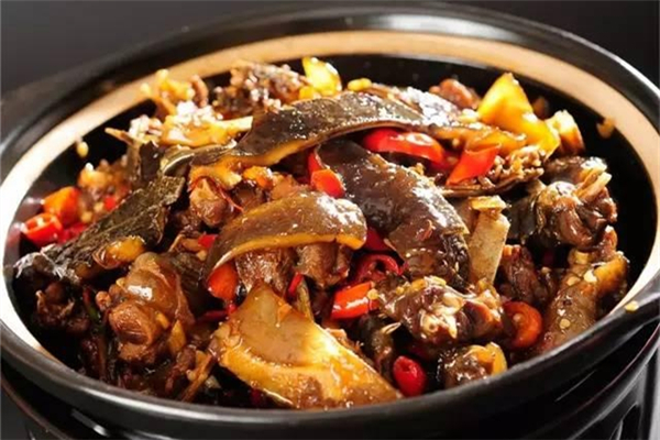 甲魚(yú)怎么燉補(bǔ)腎效果好 甲魚(yú)補(bǔ)腎效果好嗎