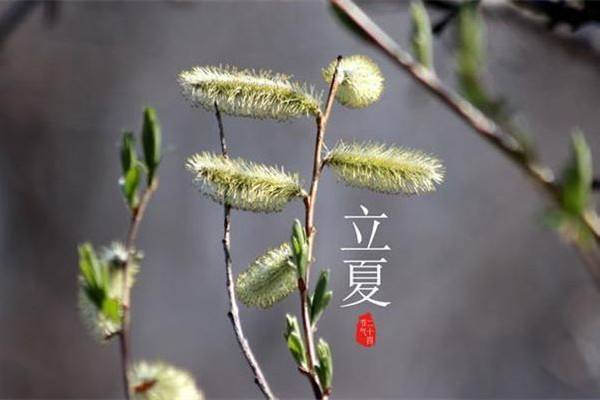 立夏的來歷和風俗 立夏可以穿夏裝嗎