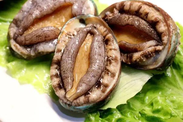 鮑魚的功效與作用及營(yíng)養(yǎng) 鮑魚怎么處理干凈