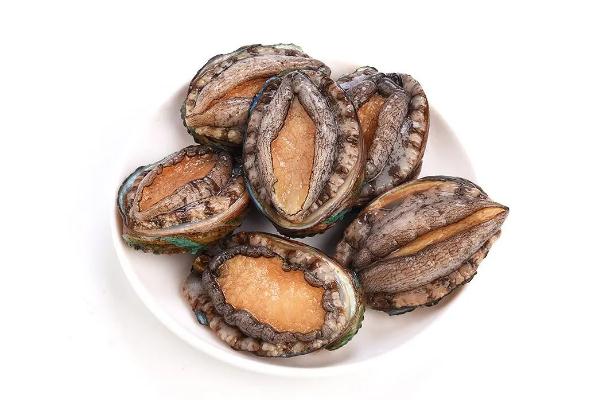 鮑魚的功效與作用及營(yíng)養(yǎng) 鮑魚怎么處理干凈