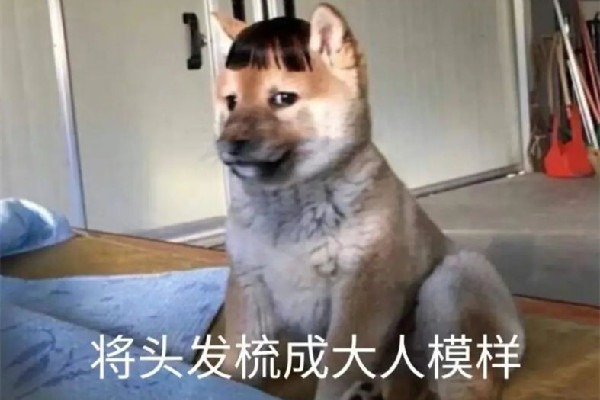 要啥自行車(chē)是什么梗 要啥自行車(chē)怎么接下一句